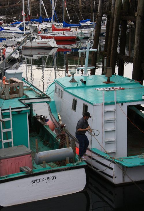 Terry navigating the wharf, Digby