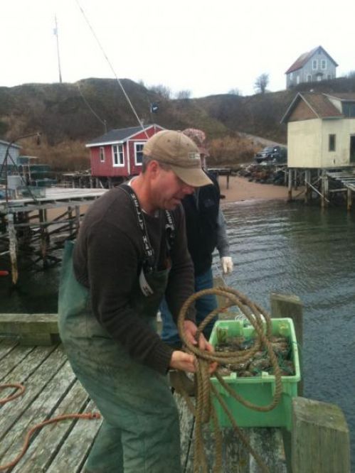 Orlie with the first load of lobster